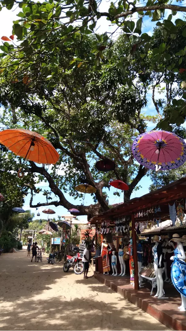 Ilhas da Baía de Camamu e Península de Maraú - foto 2