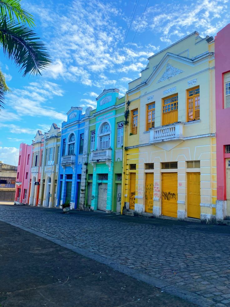 City Tour - Farol do Cabo Branco, Casa da Pólvora, Igreja São Francisco, Hotel Globo, Parque Zoobotânico Arruda Câmara - PRIVATIVO - foto 4