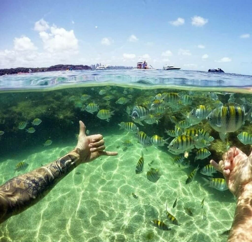 Embarcação - Piscinas Naturais - Picãozinho - foto 4