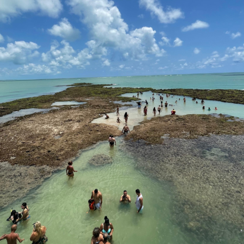 Embarcação - Piscinas Naturais - Picãozinho - foto 3
