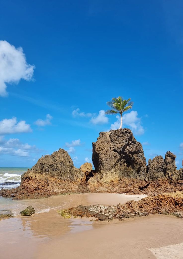 Praias do Litoral Sul 01: Barra de Gramame, Praia do Amor, Mirante Dedo de Deus, Mirante das Tartarugas, Castelo da Princesa, Shopping Rural - BUGGY - foto 6