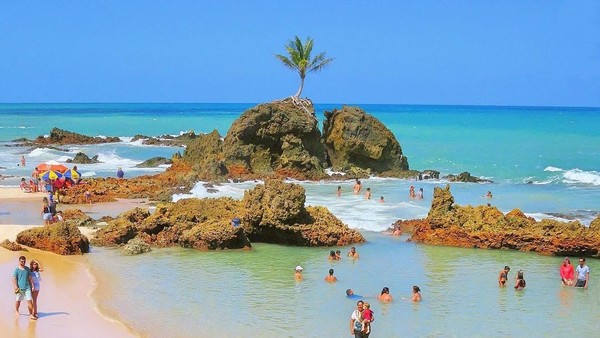 🏊♂️ Combo PRAIAS João Pessoa em 3 dias - Carro privativo ( 2 PESSOAS ) - foto 8